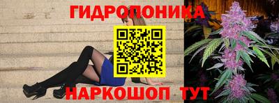 ПСИЛОЦИБИНОВЫЕ ГРИБЫ Камышлов