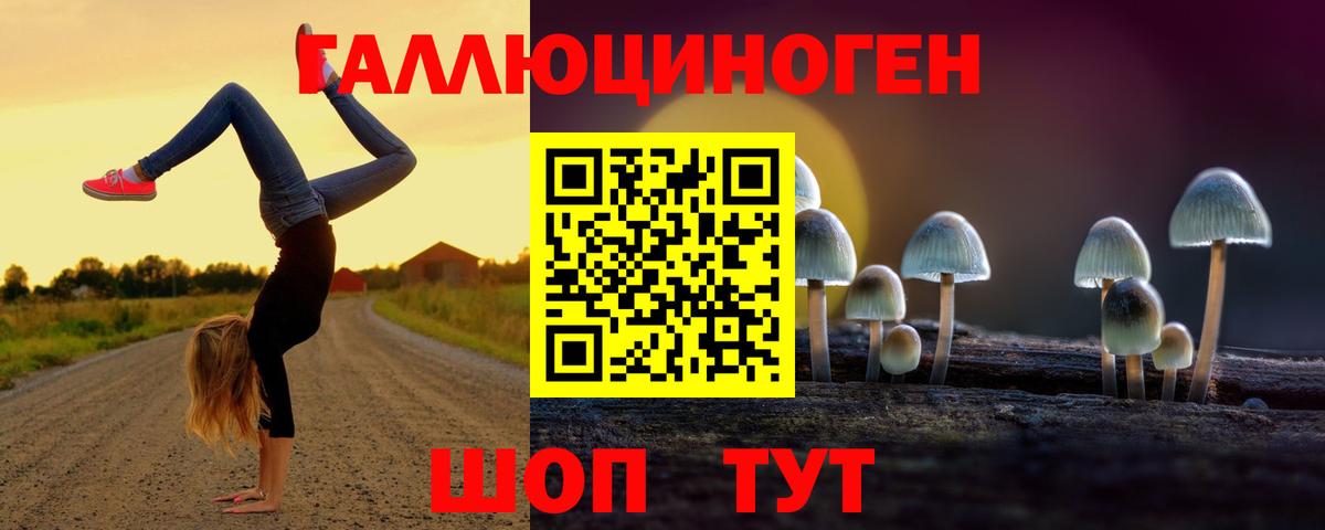 наркотики  Вход с VPN  Кувандык  Псилоцибиновые грибы мицелий  Псилоцибиновые грибы Psilocybine cubensis 